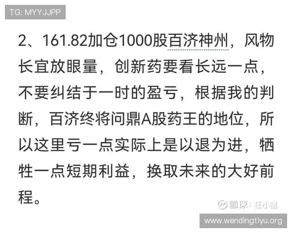 问鼎国际官方网在国际游戏市场中的地位与未来发展战略分析